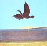 Cormorano in volo